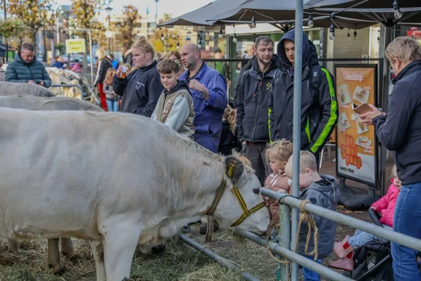 Leste Mert  (21) (Gemiddeld)