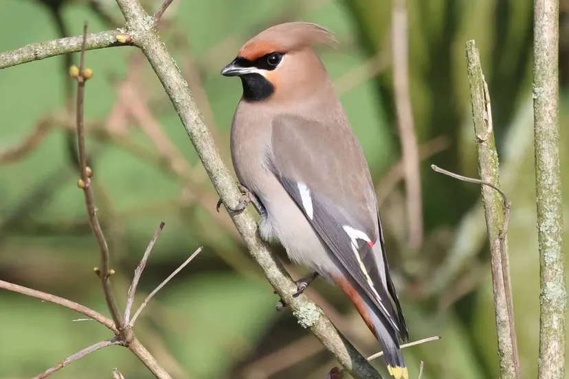 e2f76668-4591-4698-a98f-a40530771668