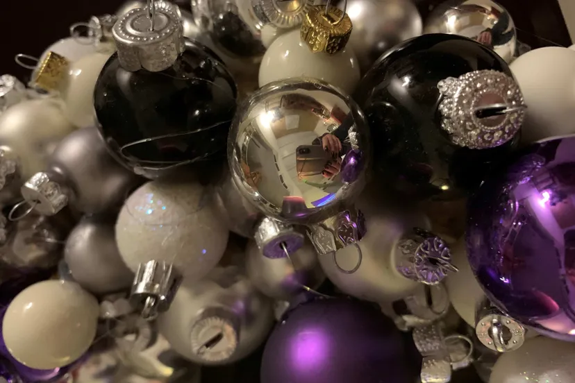 kerstuiting 2@wiltbloei 2