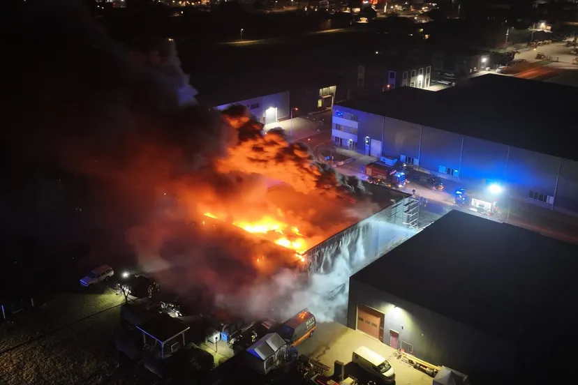 a2fa0e17-6c29-404a-ae4d-b8bd99706a10-1-Groot