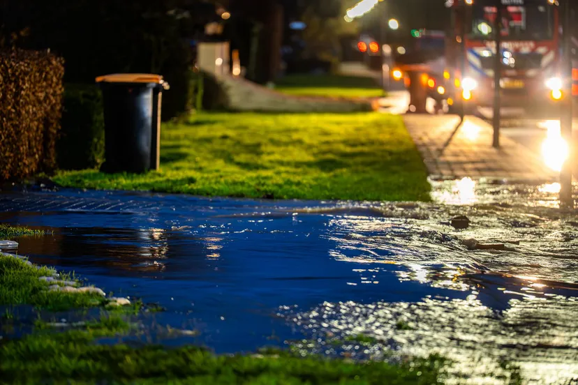 1b29e71f-fd1d-44a0-8fbc-e33642634574