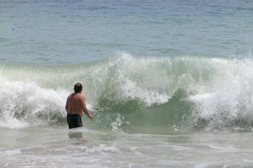 jrjr1-wave-142068