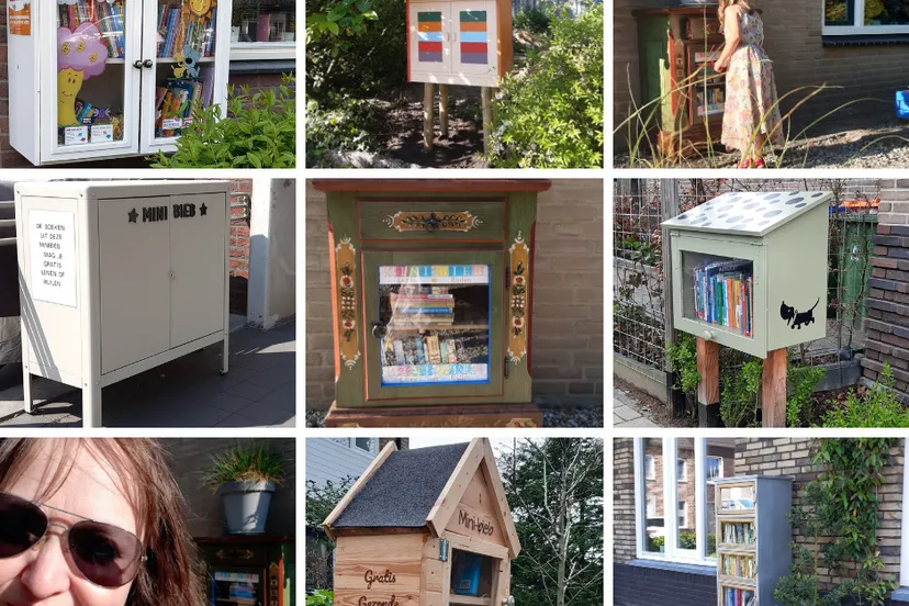 100 minibiebs in ede collage cynspirerend