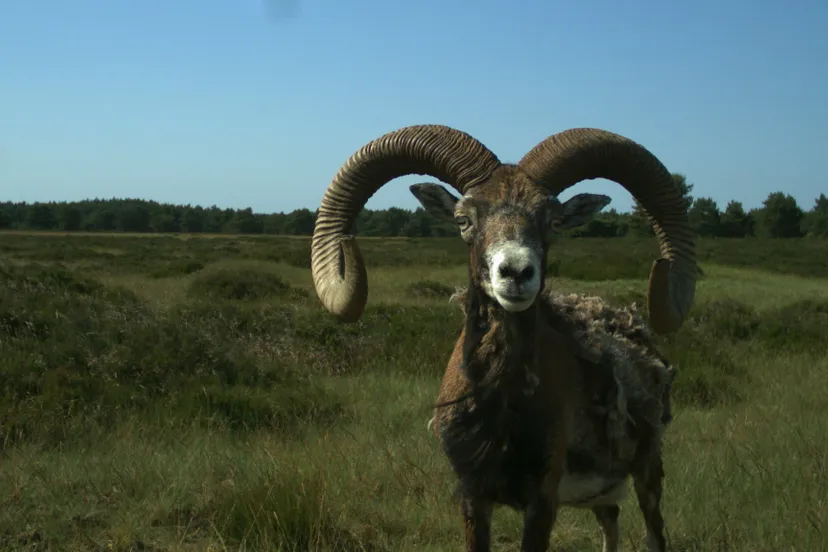 1096 d67a5369ed2d72168d82ab54479d00a2