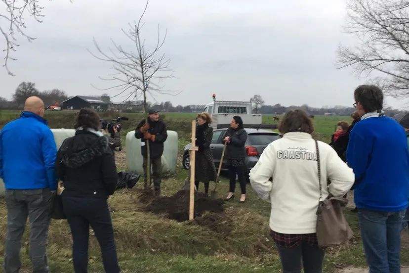 181215 bomenuitdeel 1