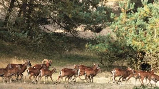 2464180e 5200 47a5 91db ec3d0b5a5754