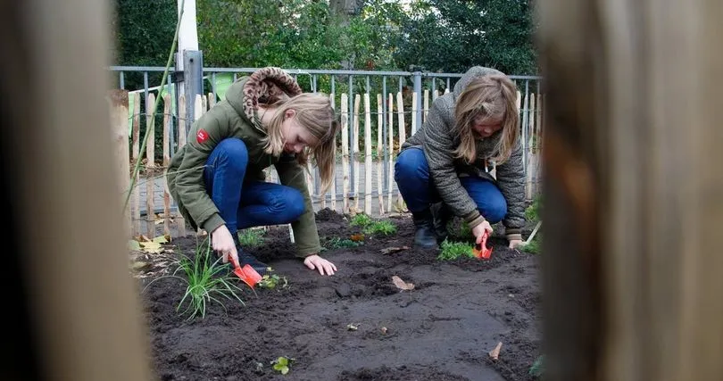 315047639 506854128148097 1363044342533514683 n