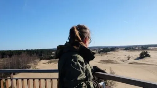 3df6a3cb 0dd3 4e8a 9127 430cca4c6132