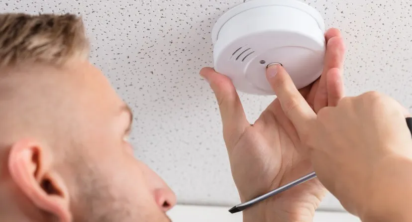 blog rookmelderverplichting