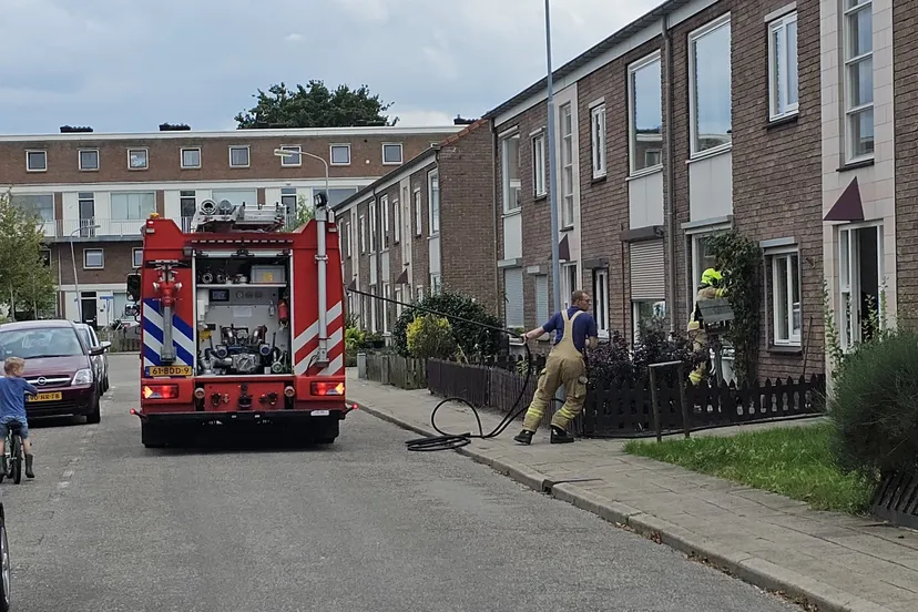 brand ede 1