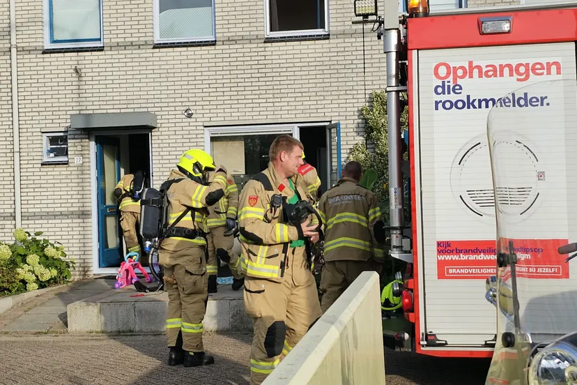 brand in pan ede