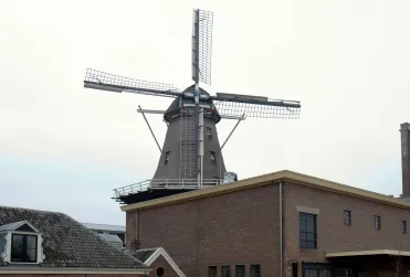 concordia molen