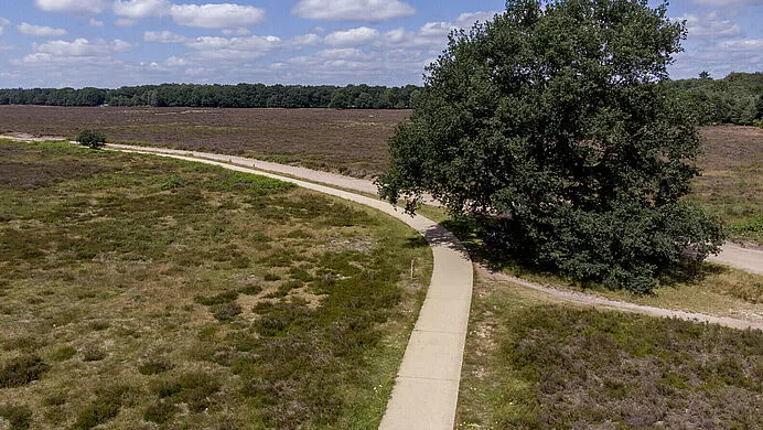 csm pb063 heide 4c5907bbcb