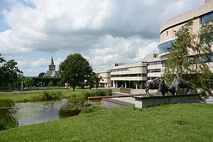 csm pb074 sociale monitor foto2 01 4f30ffcd78