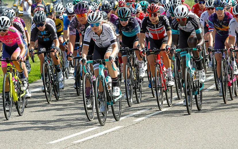 csm slt2022 ec234a5aa1 915x518 1