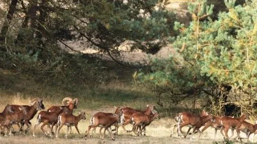 e6f642f6 ff5c 4edd bbe6 632631b12081