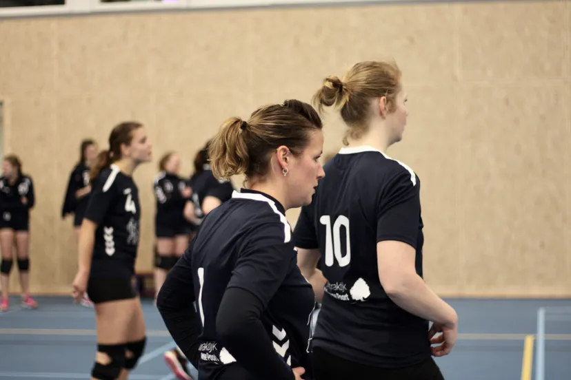 favorites 17 van 58 1