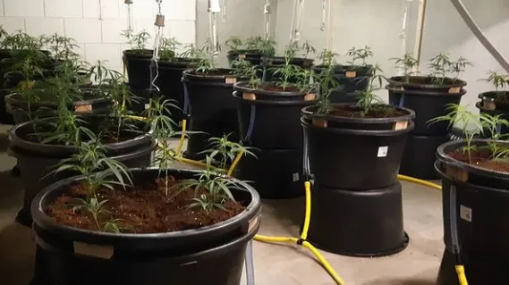 hennep gerben algra politie ede instagram