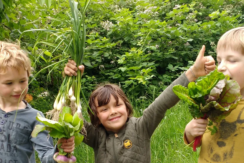 img 20190613 154344060 01