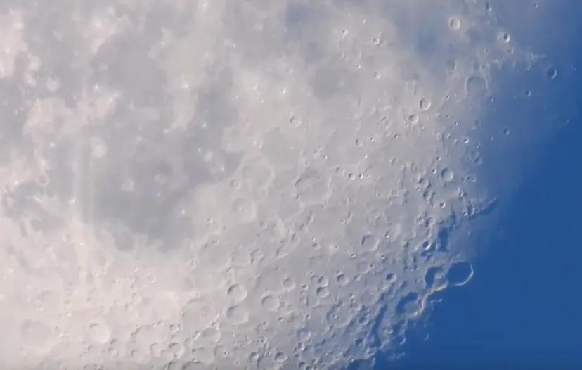 maan michael de vries