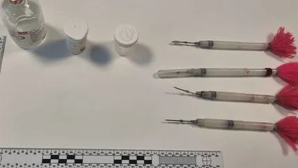 politie pijltjs geweer