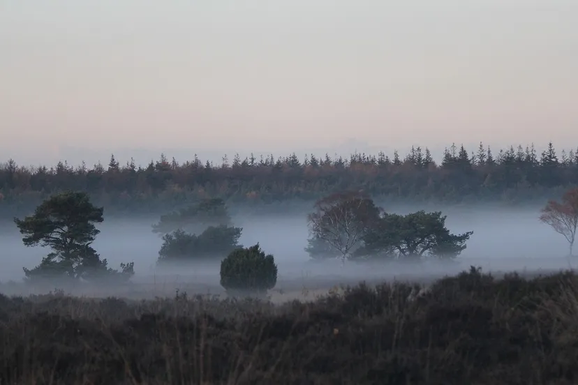 rechtenvrije foto gelderland1