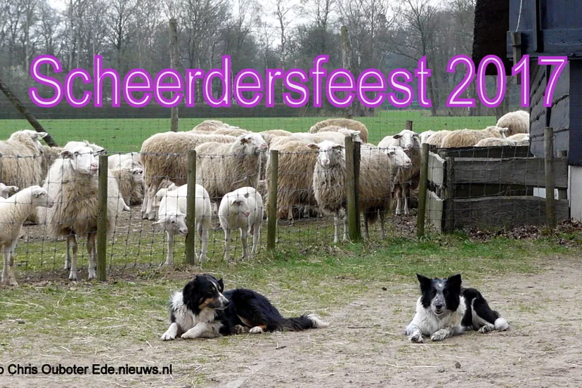 scheerdersfeest 2017