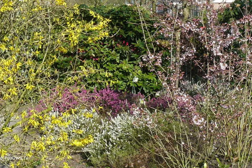 voorjaar edenieuwsnl 1