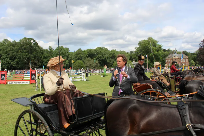 zilveren medaille koningshuis