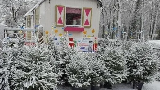 105568a8 1018 43fa bdf0 d350a292b59b