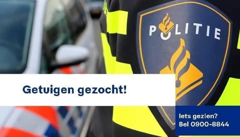 125185499 1892945214179916 3162125490685540965 n