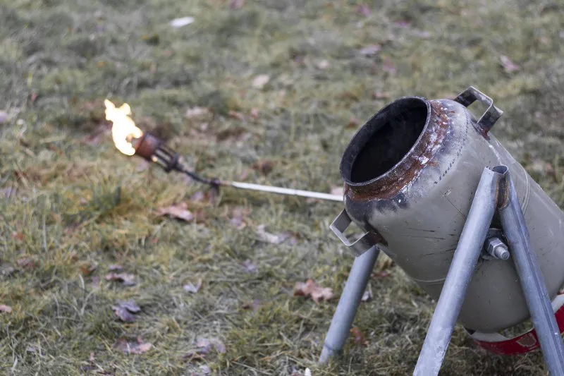 133756142 3618135388224477 8472582911710100224 n