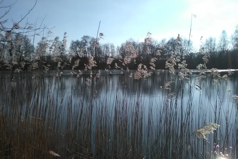 20180223 kreelseplas nc veluwe