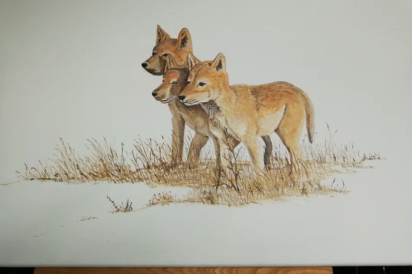 20211008 expositie harm roseboom sr wolf 01