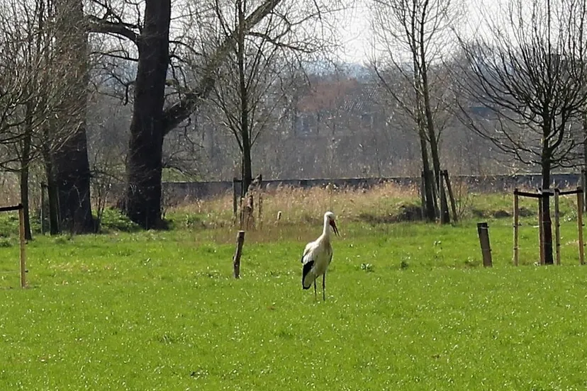 264031675 467264531407068 5776314797891809744 n