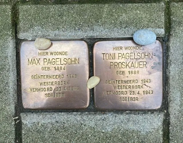 272686691 308845701282275 368532455695038637 n