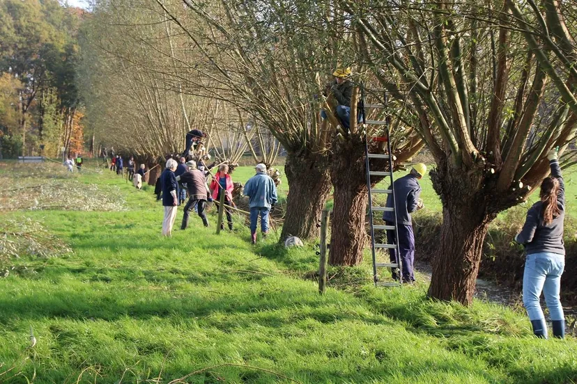 27624704 422881478144582 8596991251103875335 o