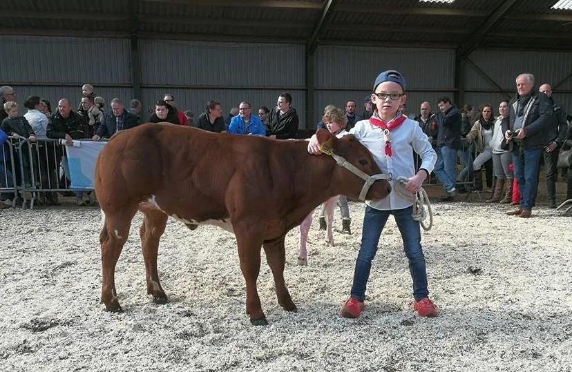 29571109 587132998307333 8802073007607191273 n