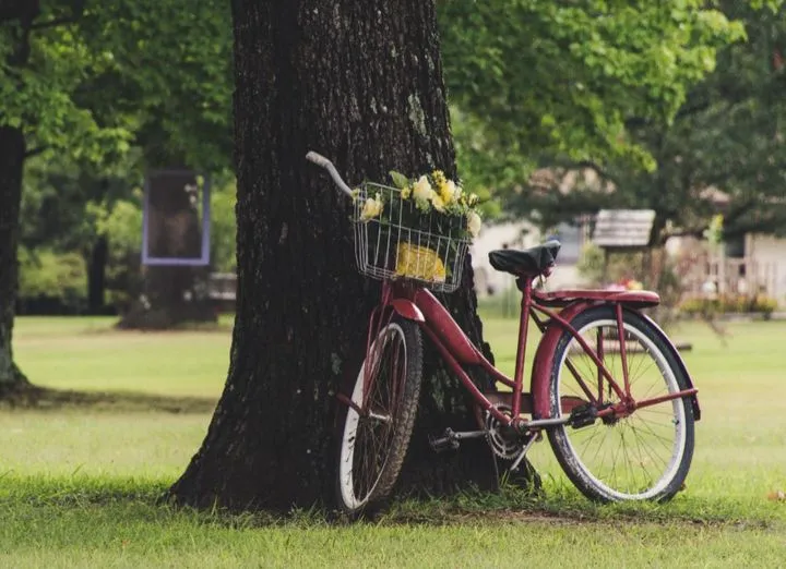 299484737 379363451049341 2659091630983324902 n