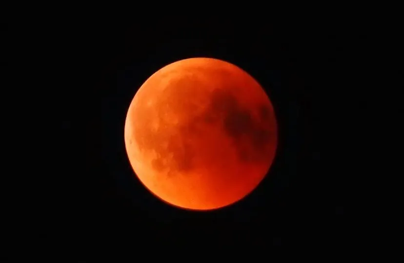 37884219 1782053798496392 3120179640442814464 n