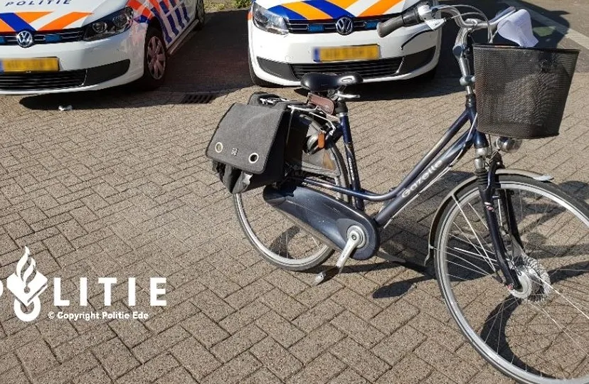 37918098 1126076544200124 7888690570002956288 n