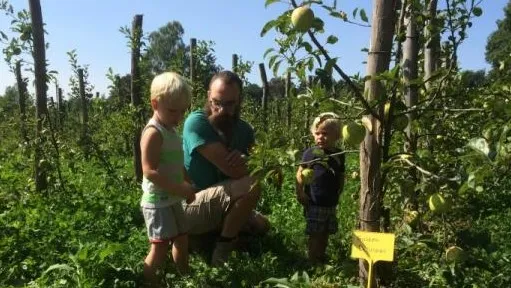 3afb6e56 3133 4369 b75e 16bde2a85130