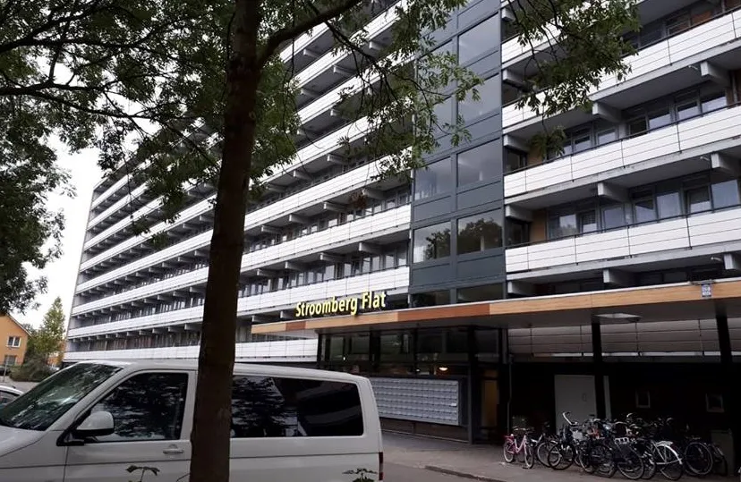 40234485 1161949857279459 8507810174440833024 n