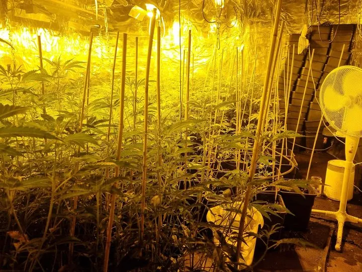 441082722 18417131218070630 6323839512097379615 n