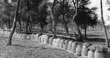 50924303 2034186710215276 7140385801069658112 n