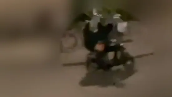 6239329b cea8 3c69 b727 96aa0cffbe0a