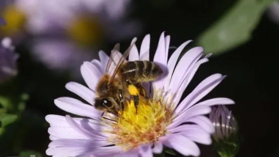 6648d8c5 0ee9 4abe 9e71 5cf4833bfadd