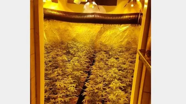 6cade702 2fdc 4a42 91d4 7aa2ccd03b8a