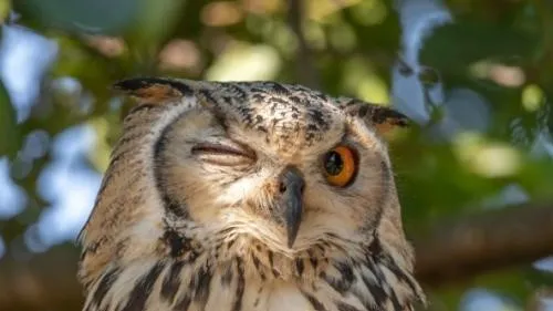 77aefa7f 1676 4594 a703 dd499deca553