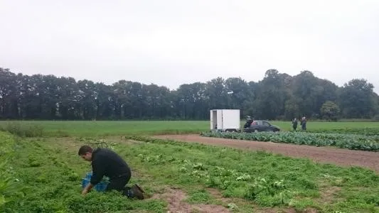 7ae737b4 e842 454d 9cdd c4b73b355fb4